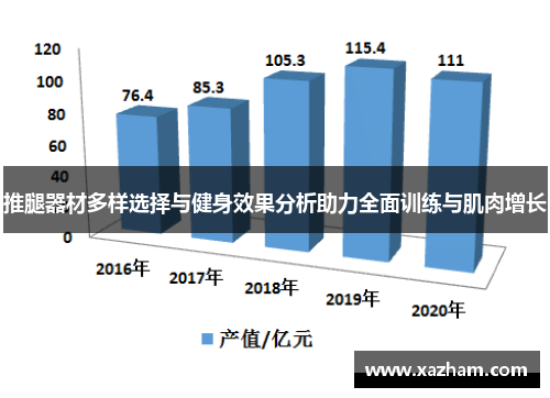推腿器材多样选择与健身效果分析助力全面训练与肌肉增长